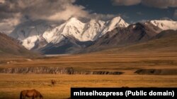 KYRGYZSTAN -- By 2024, to improve degraded pasture areas of 22,530 hectares, it is planned to sow 207,280 kg of pasture grass seeds.