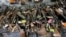 Serbia, unknown location -- Seized rifles and other weapons on display