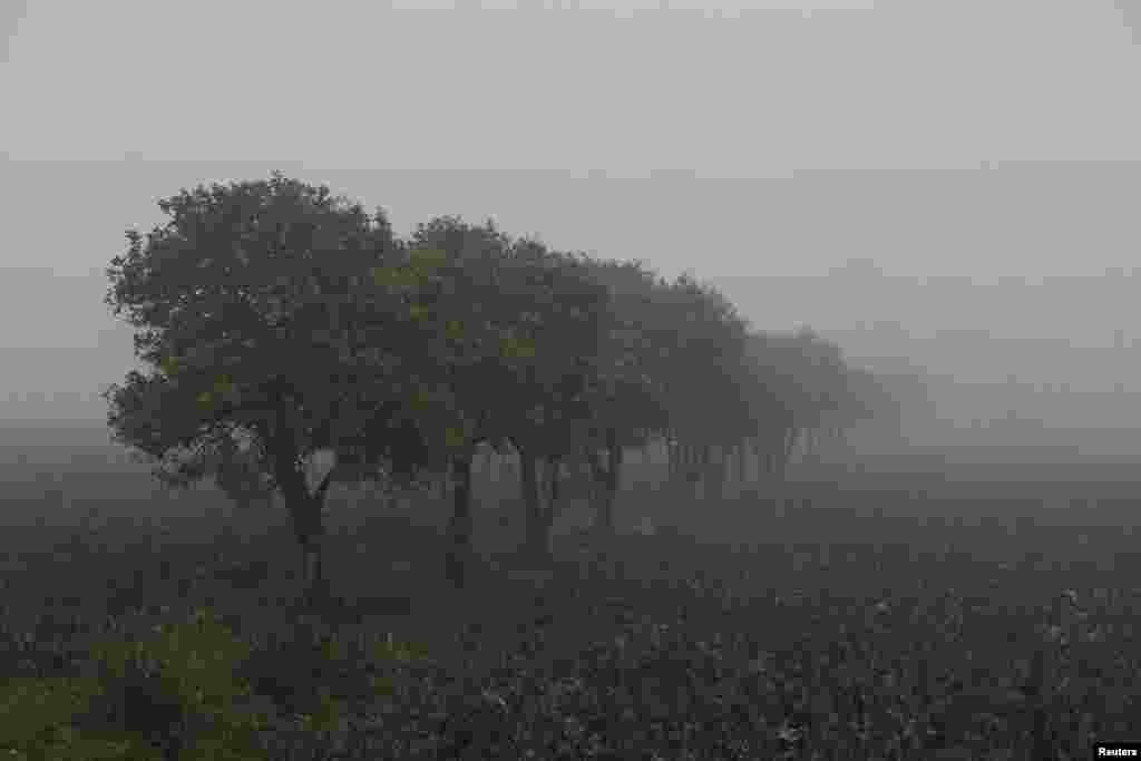 په پېښور او شاوخوا ښارونو کې له څه باندې یوې اوونۍ راهیسې سخته لړه خپره ده. دا انځور د جنورۍ پر پینځمه له پېښور ښاره بهر په یوه کلیواله سیمه کې اخیستل شوی دی.&nbsp;&nbsp;