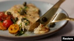 تصمیم دولت ایتالیا با مخالفت شدید نهادها و سازمان‌های حامی تولید مواد غذایی از طریق «پرورش صنعتی سلول‌های حیوانات» روبرو شده است