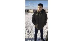 Погрузка живых собак из приюта в рефрижератор.mp4