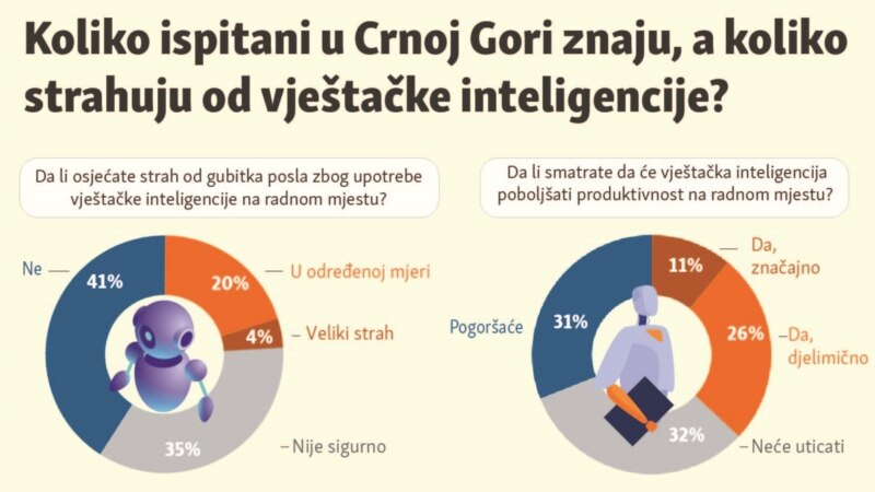 Koliko ispitani u Crnoj Gori znaju, a koliko strahuju od vještačke inteligencije?