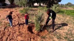 Punonjësi qeveritar libian e kap shatin për të mbijetuar