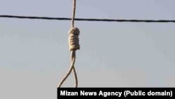 Her execution comes as concern grows over the numbers of people this year executed by Iran, where hundreds of people have been hanged mainly on drug and murder charges, including more than a dozen women.