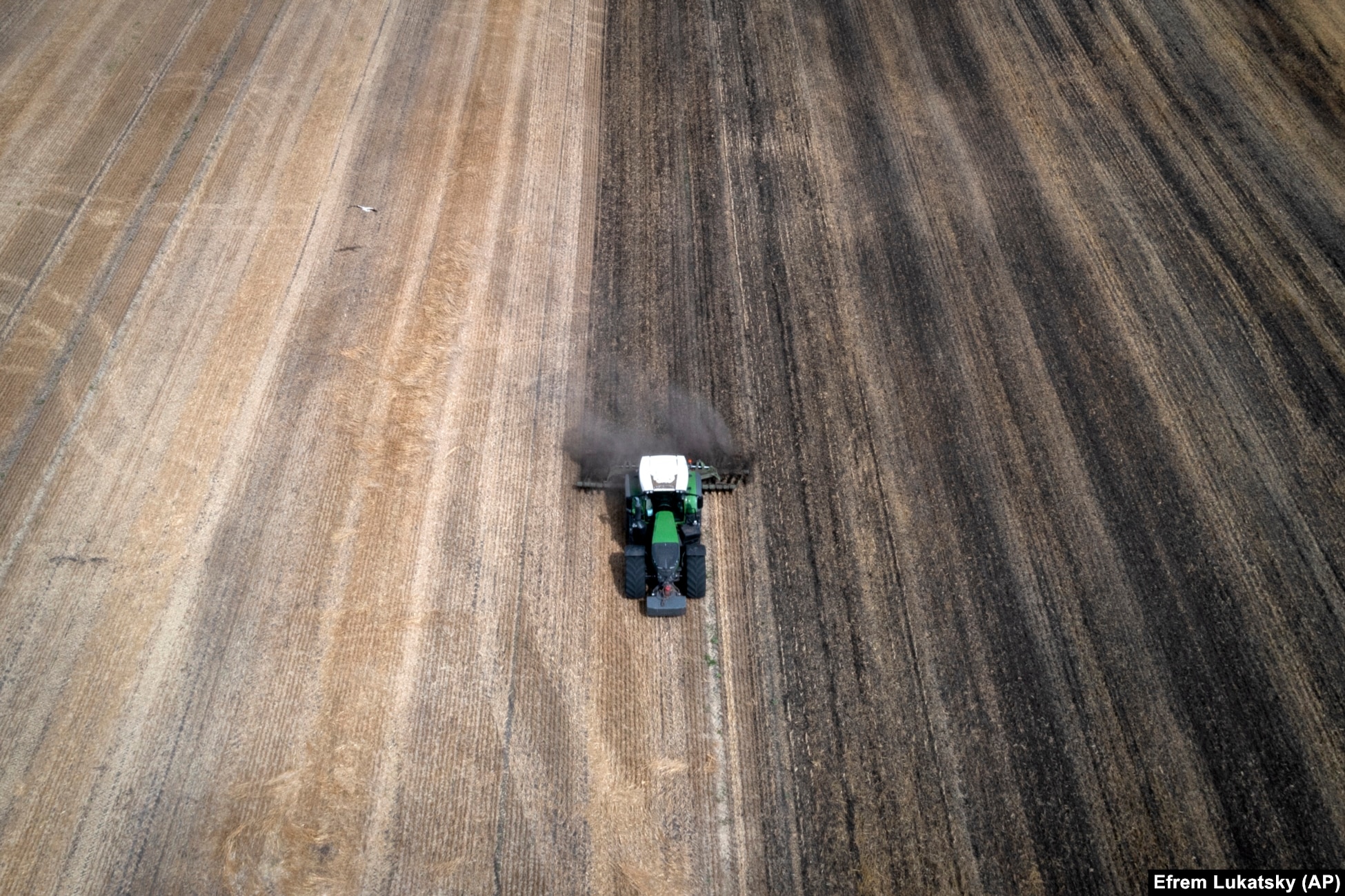 With grain being the farm's main source of income, Tsvyk's products went as far as India and&nbsp;poverty-stricken countries in North Africa, he says. With the only other options being more costly road, rail, and river routes through Europe that have stirred pushback from neighboring countries, his grain will likely sit in storage depots, costing him tens of thousands of dollars in losses.