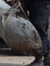 Russia Uses Modified Soviet-Era Bombs In Ukraine