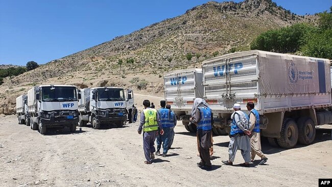 د ملګروملتونو د کارکوونکو يوه ډله