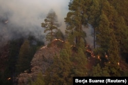 Požari na otoku La Palma, Španija, juli 2023.