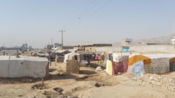 هرات کې د ستنو شویو کډوالو خیمې، ارشیف