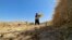 Workers carrying bundles of harvested wheat in field, Balkh province, Afganistan, August, 2023 Drought, climate change impacts Afghans