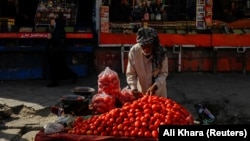 An Afghan street vendor arranges tomatoes for sale in Kabul. 