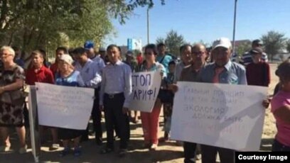 Зумраттың кишігінің фотосы