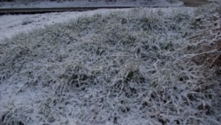 Сніг на вулицях Севастополя. Крим, 30 березня 2023 року