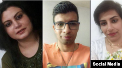 از راست: محبوبه رضایی، رضا محمدحسینی و سمانه نوروزمرادی