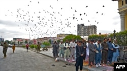 افغانستان - تجلیل از عید