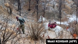 تصویر از آرشیف 