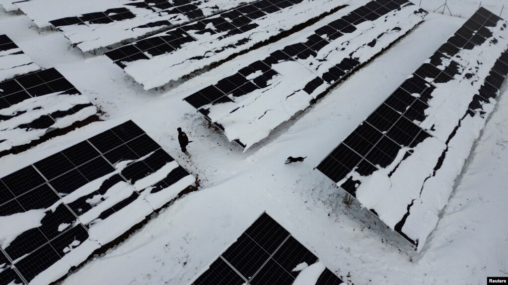 Një punëtor, i ndjekur nga qeni i tij, ecën në një park panelesh diellore të mbuluara me borë në Grackë të Vjetër, Kosovë 26 nëntor 2023.