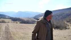 5 տարուց ավելի հանդերում միակ հովիվը մտահոգ է՝ ոչխարաբուծությունը Դեբեդում սկսել է չգրավել երիտասարներին
