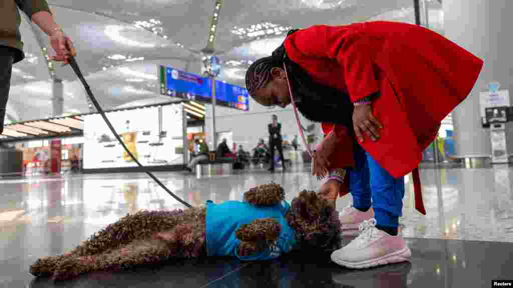 Demirtas hozzátette, hogy a repülőtér üzemeltetői már hat hónapja dolgoznak a projekten, és remélik, hogy hamarosan megduplázhatják a terápiás kutyacsapat létszámát