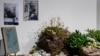 Крымская экспозиция на выставке «Эдельвейс. Женское сопротивление в Крыму» в Представительстве президента Украины в АРК, 26 февраля 2024 года