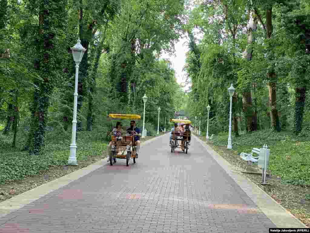 Sve pobrojano čini celinu zvanu Veliki park. Pred obnovu Kupališta, 1911. park je rekonstruisan u baroknom stilu, što znači da su staze bile istih dimenzija, a žbunje šišano tako da ima okrugli ili kupasti oblik &ndash; što su odlike ovog stila. Park je uvek bio negovan, doterivan i proširivan. Tako je i danas.