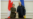 Шмигаль обговорив із головою МЗС Канади конфіскацію російських активів