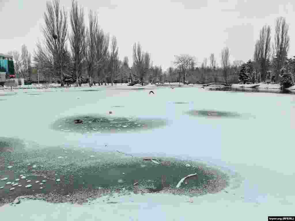 Покрытый льдом пруд в Гагаринском парке