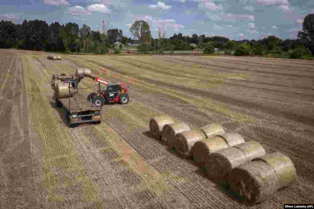 Though some farmers are turning to other products, such as&nbsp;sunflower oil, to squeeze out some profit.