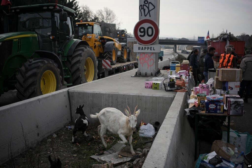 Dhitë në një barrikadë në një autostradë në Francë, shkurt 2024.