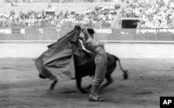 Juanito Belmonte, toreador u akciji u ringu u San Sebastianu, Španija, 20. novembra 1939.