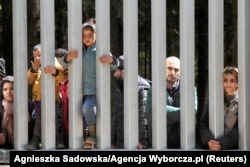 Незаконні мігранти на кордоні Білорусі з Польщею. 28 травня 2023 року