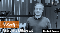 Mitrovits Miklós