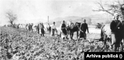 Fermierii lucrau la comun terenurile colectivizare și primeau în schimb o cotă de produse care le permitea cu greu supraviețuirea.
