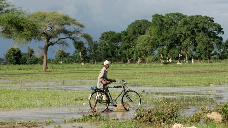 Broj žrtava poplava u Tanzaniji povećan na 47