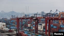 Порт Владивостока