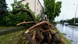 Dvije osobe poginule u nevremenu u Zagrebu