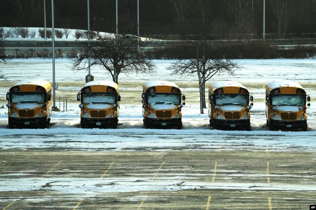 Autobusët e shkollave, të mbuluar me borë, në një parking në Aeroportin Ndërkombëtar O'Hare në Çikago, të dielën, 14 janar 2024. Paralajmërimi për motin e ftohtë dhe me erë është në fuqi në zonën e Çikagos, ndërsa kushtet vazhdojnë të jenë të rrezikshme.