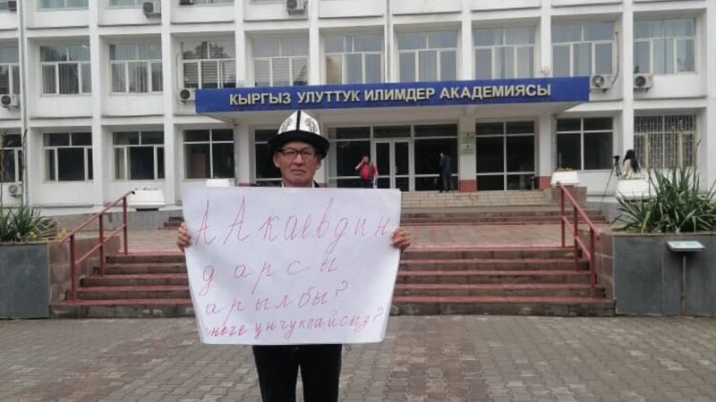 Жарандык активист Илимдер академиясынын алдына пикетке чыкты