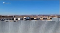 Погрузка живых собак из приюта в рефрижератор.mp4