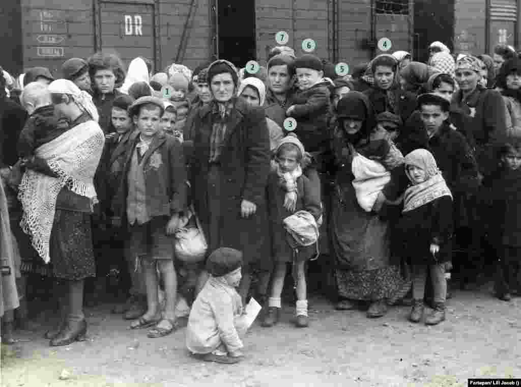 Érkezés után, 1944. május 26-án magyar zsidók a peronon, miután leszálltak a vonatról Auschwitz-Birkenauban. A Jad&nbsp;Vasemben azonosítottak szerint a képen látható: 1. az akkor 12 éves Klein Renee. 2. Klein Hajnal, Renee, Irén, Herczi és Lili édesanyja. Meghalt a táborban. 3. Klein Irén, hétéves. Meghalt a táborban. 4. Klein Lili, 18 éves. Túlélte. 5. Klein Herczi, 15 éves. Túlélte. 6. Berkovics Adalbert Avrom, ötéves. (Elly Gross, született Berkovics, Irén lánya). 7. Berkovics Irina, született Farkas, Adalbert édesanyja, 37 éves (Elly Gross, született Berkovics, Irén lánya)