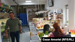 Vitalie Bumbu arată atelierul de pictură în care prind culoare jucăriile din lemn produse la Bumbu Toys.