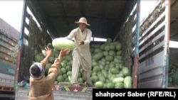 دو تن از کارگران بازار اصلی فروش میوه در هرات در حال پایین کردن تربوز از یک لاری اند. 
