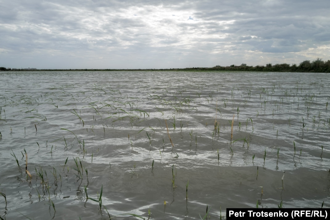 Әдемі порно фото xxx