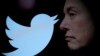 Zogu i kaltër i logos së Twitter-it, pranë një portreti të pronarit të rrjetit social, Elon Musk.