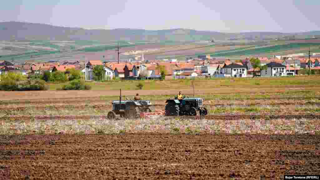 Dy burra drejtojnë traktorët e tyre në kahe të kundërta teksa lërojnë në një arë në rajonin e Vushtrrisë.