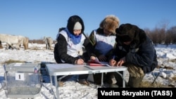 Досрочное голосование на выборах президента РФ в отдаленных районах Якутии, 25 февраля 2024 года
