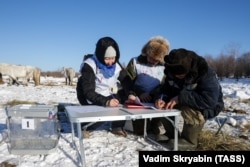 Досрочное голосование на выборах президента РФ в отдаленных районах Якутии, 25 февраля 2024 года