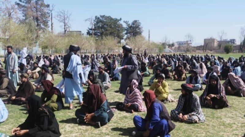 به صد ها نظامی طالبان در فراه سند فراغت از صنف ۱۲ داده شد، آیا آنان درس خوانده اند؟