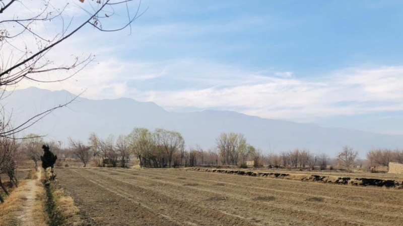 تأیید دو پروژه محیط زیستی توسط UNIDO برای افغانستان با ارزش بیش از ۱۰ میلیون دالر