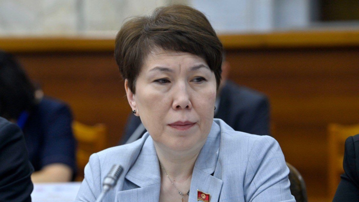 Kyrgyz Lawmaker Calls For Probe Of Russian Website Offering Kyrgyz Citizenship - Vimarsana News